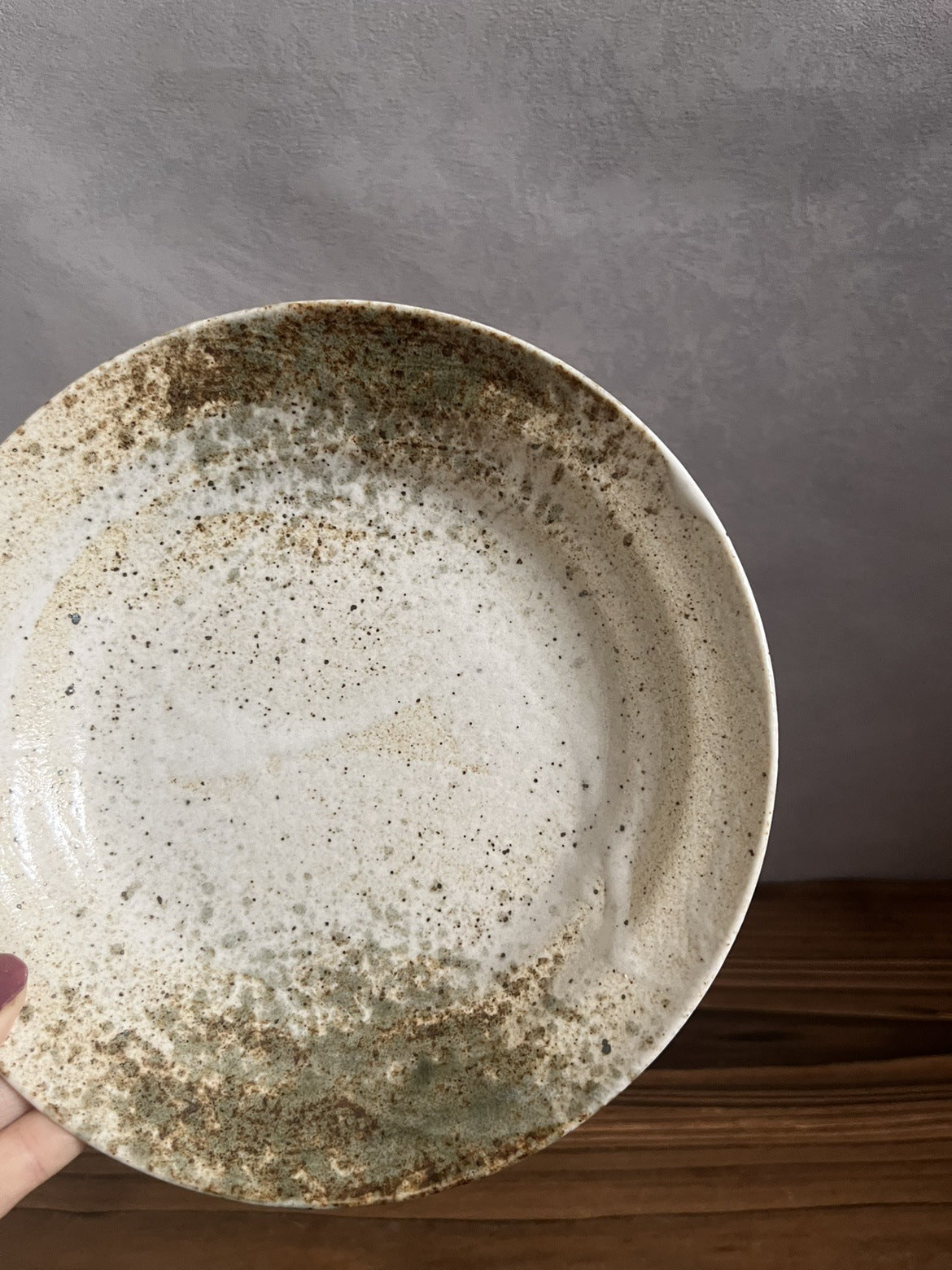 Japanese Handmade Ceramic Underglaze Plate Collection